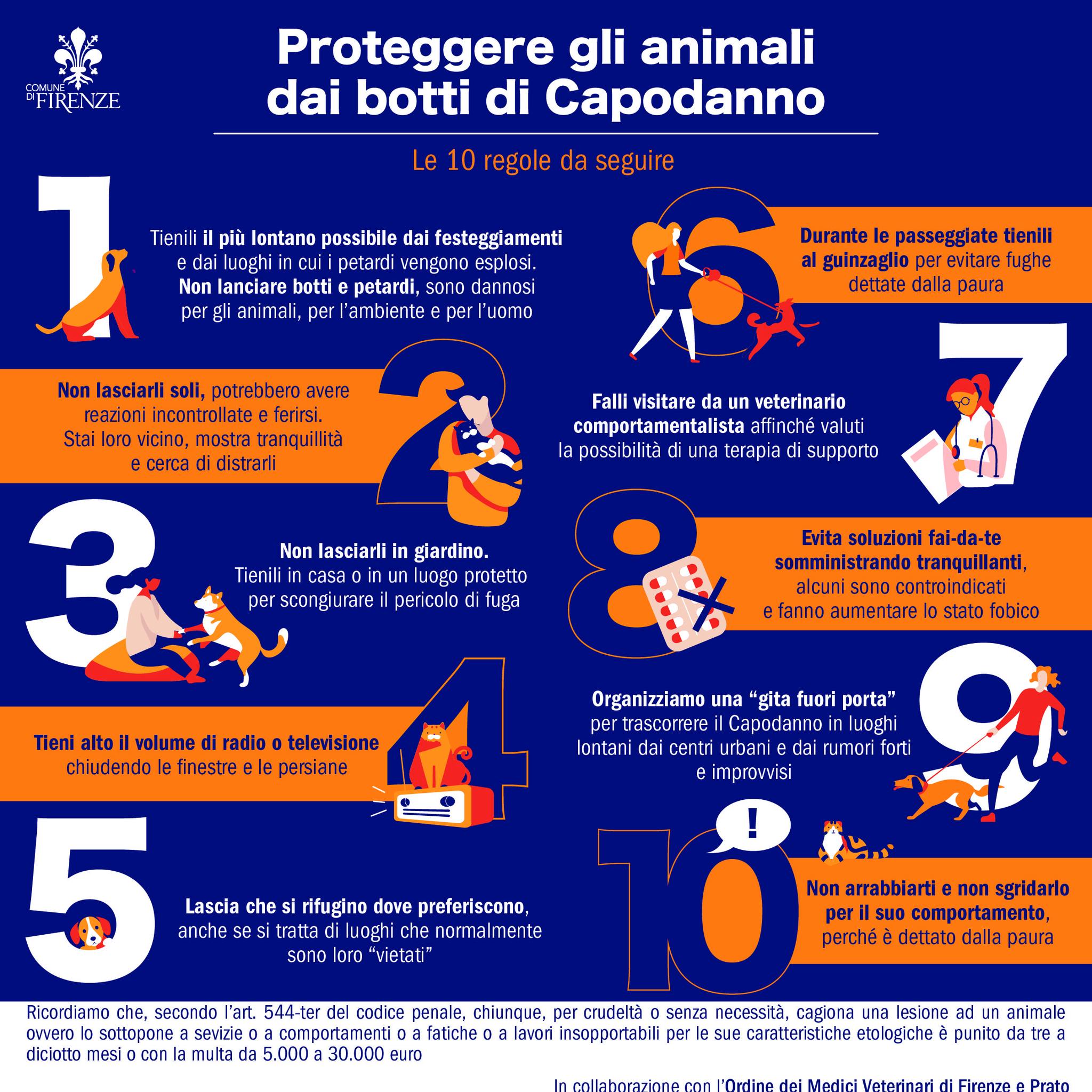 regole graficizzate di protezione degli animali durante i botti di capodanno