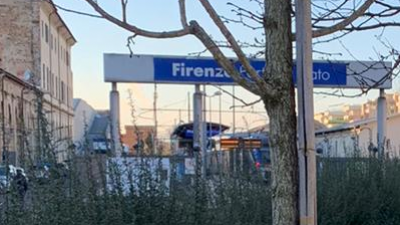 Nuovi alberi alla Leopolda